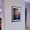 FESTINA LENTE - (Edition 80 x 60 cm) – Image 5